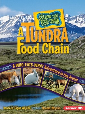 cover image of A Tundra Food Chain